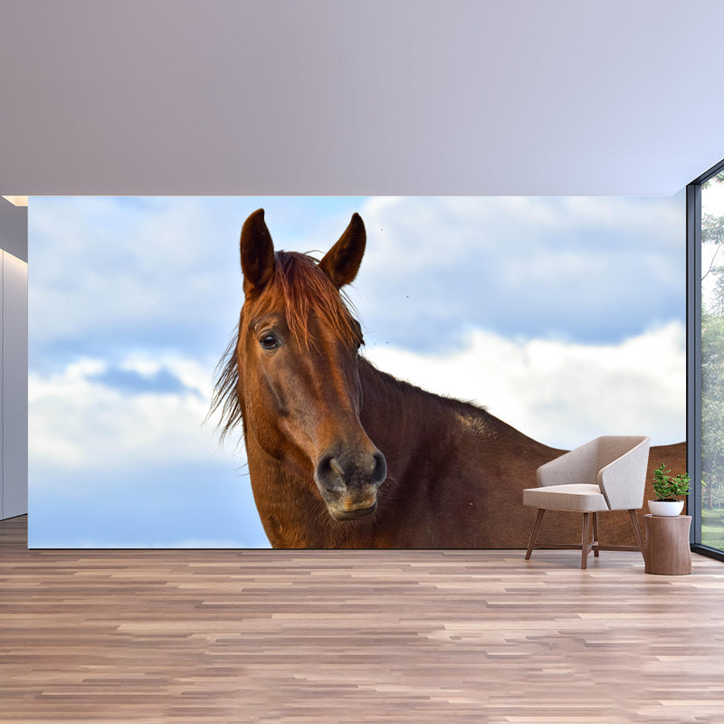 Horizontal Photography Horse Wall Mural Decorative Mildew Resistant for Living Room