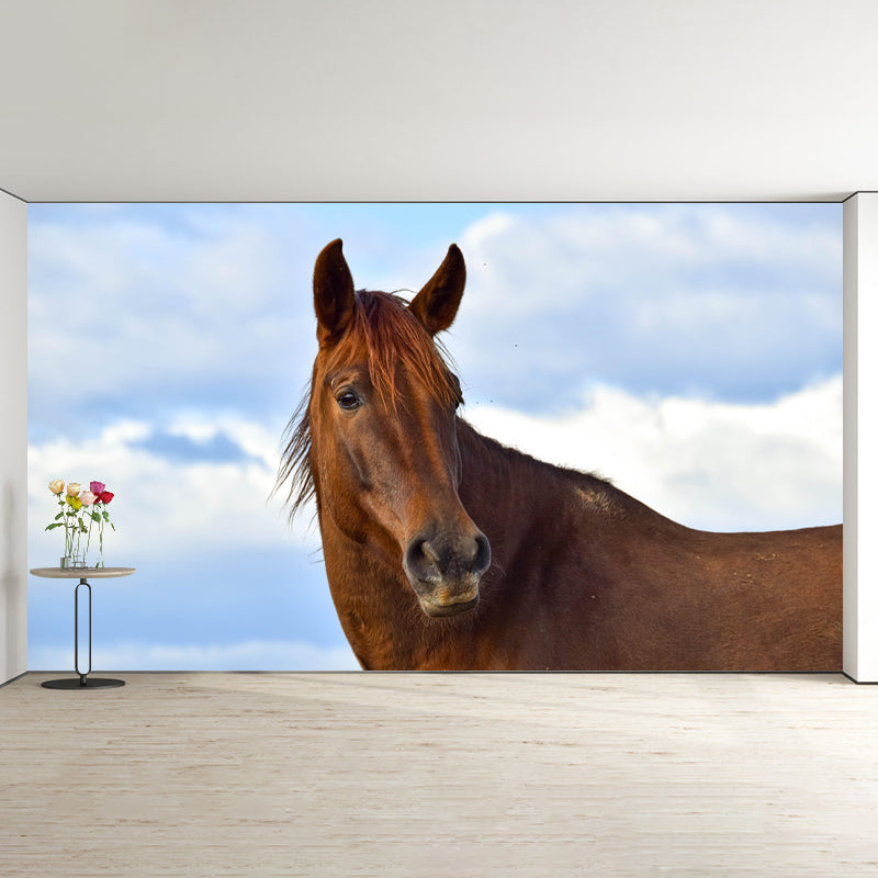 Horizontal Photography Horse Wall Mural Decorative Mildew Resistant for Living Room