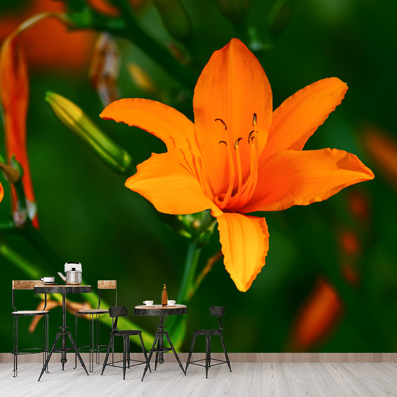 Horizontal Photography Lily Wall Mural for Living Room Girls Women Bedroom