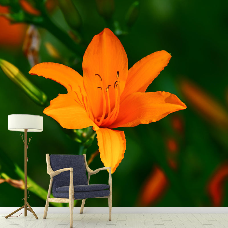 Horizontal Photography Lily Wall Mural for Living Room Girls Women Bedroom