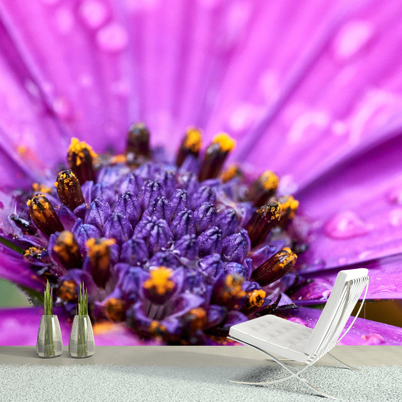 Customized Close Up Daisy Mural Environment Friendly Wallpaper for Guest Room