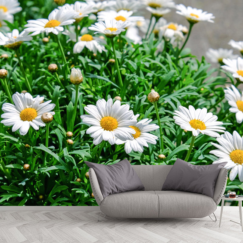 Horizontal Photography Daisy Wall Mural for Living Room Girls Women Bedroom