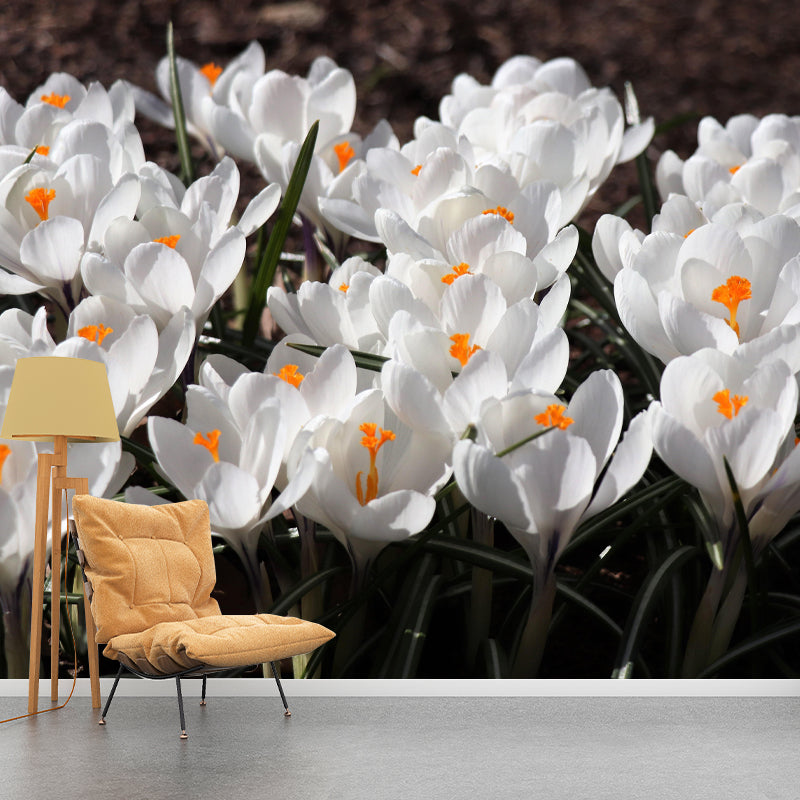 Horizontal Photography Crocus Wall Mural for Living Room Girls Women Bedroom