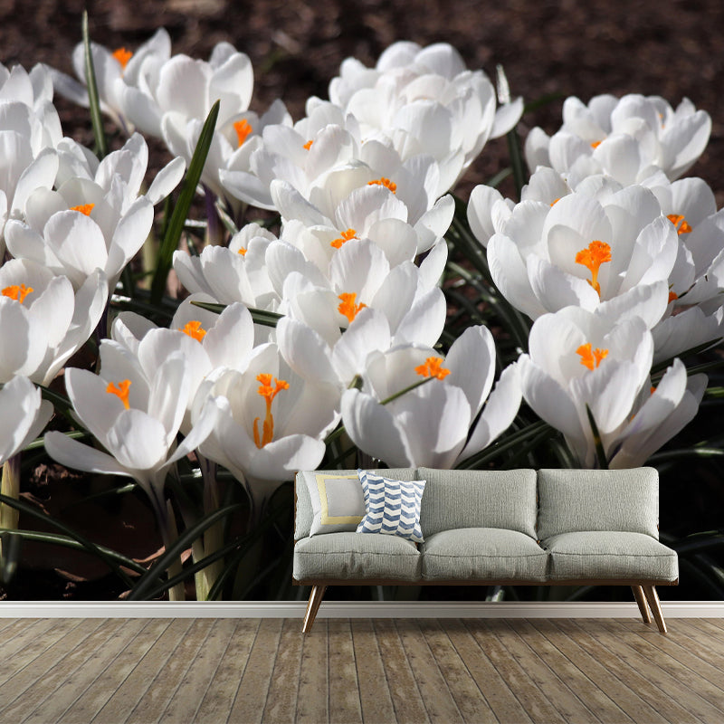 Horizontal Photography Crocus Wall Mural for Living Room Girls Women Bedroom