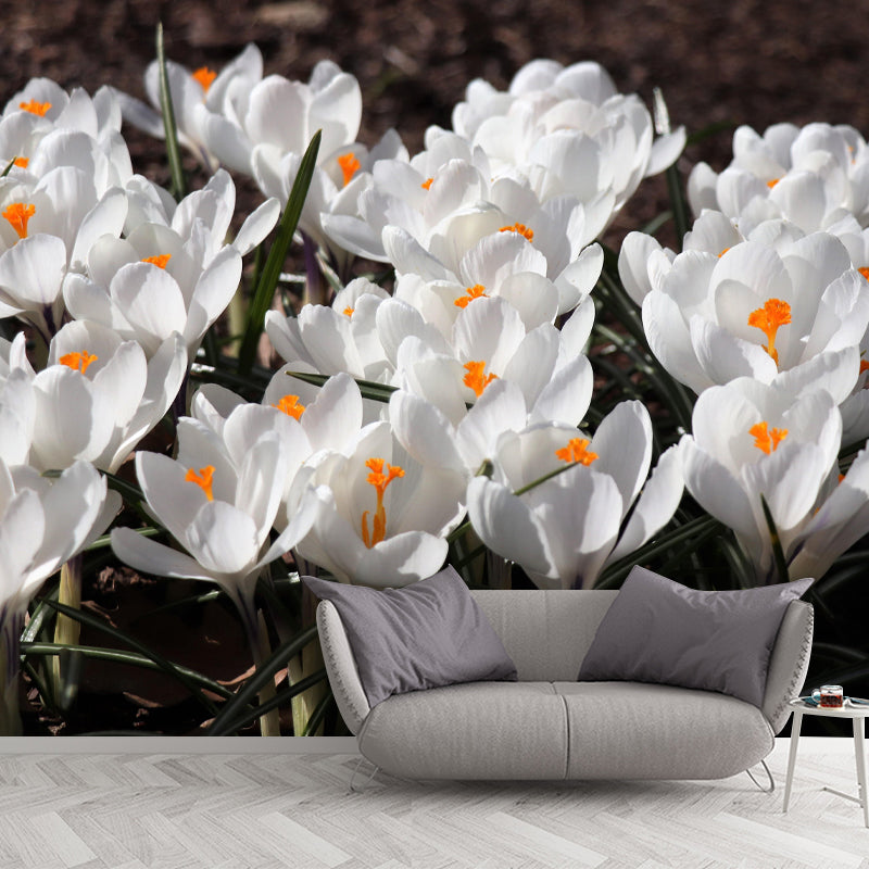 Horizontal Photography Crocus Wall Mural for Living Room Girls Women Bedroom
