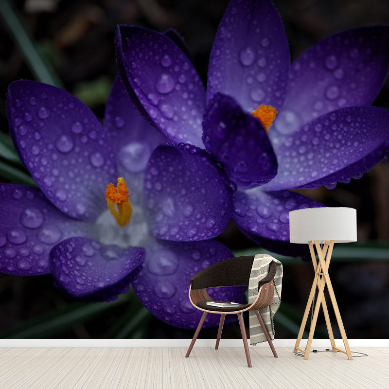 Horizontal Photography Dripping Crocus Wall Mural for Living Room Girls Women Bedroom