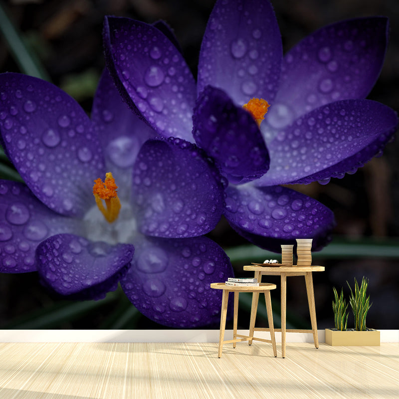 Horizontal Photography Dripping Crocus Wall Mural for Living Room Girls Women Bedroom
