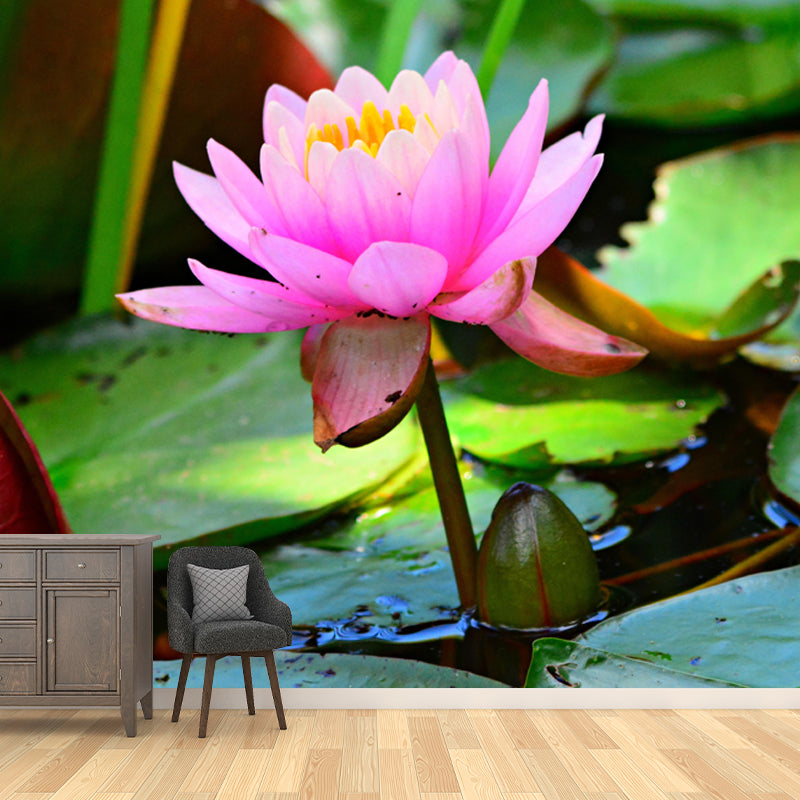 Horizontal Photography Lotus Wall Mural for Living Room Girls Women Bedroom