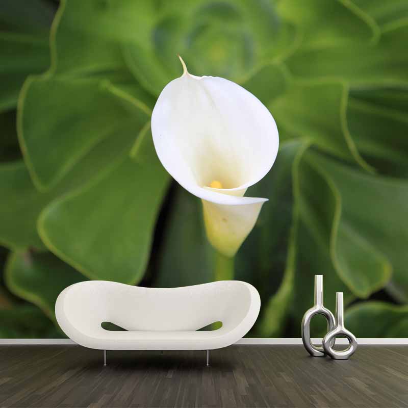 Horizontal Photography Calla Wall Mural for Living Room Girls Women Bedroom