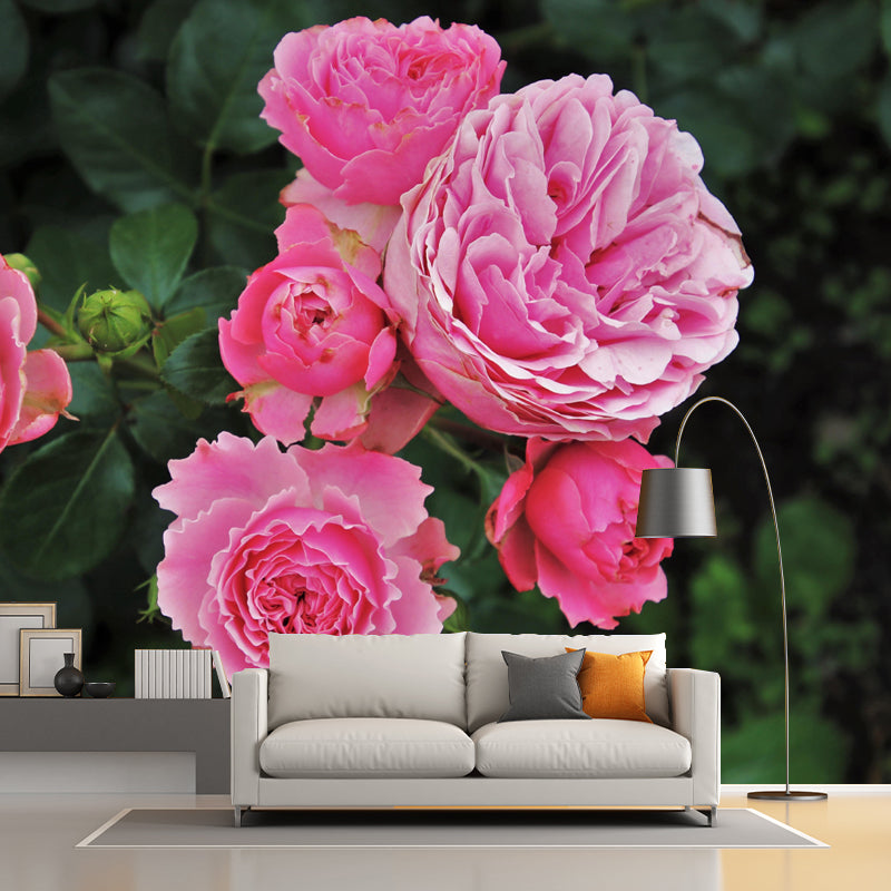 Horizontal Photography Rosaceae Wall Mural for Living Room Girls Bedroom