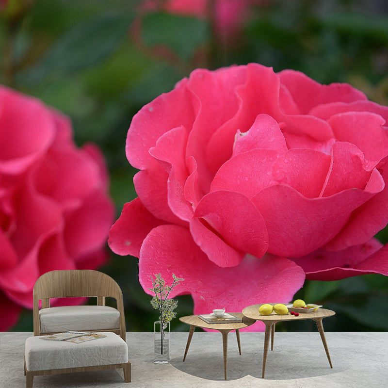 Horizontal Photography Rosaceae Wall Mural for Living Room Girls Bedroom