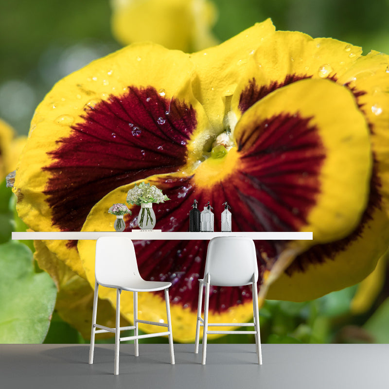 Horizontal Photography Pansy Wall Mural for Living Room Girls Women Bedroom