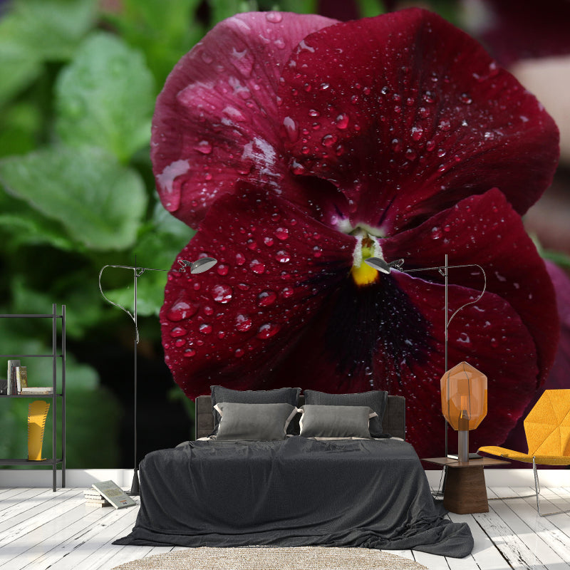 Horizontal Photography Pansy Wall Mural for Living Room Girls Women Bedroom