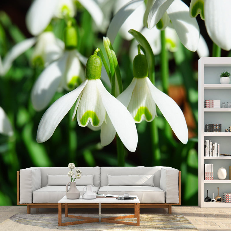 Horizontal Photography Snowdrops Wall Mural for Living Room Girls Women Bedroom