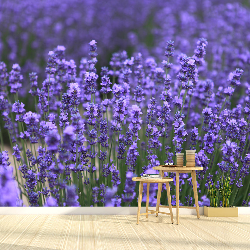 Horizontal Photography Lavender Wall Mural for Living Room Girls Women Bedroom