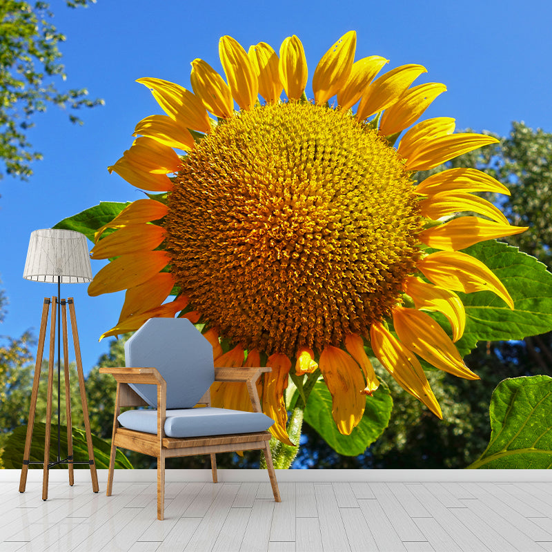 Minimalism Style Yellow Sunflower Wall Mural for Sitting Room, Water Resistant