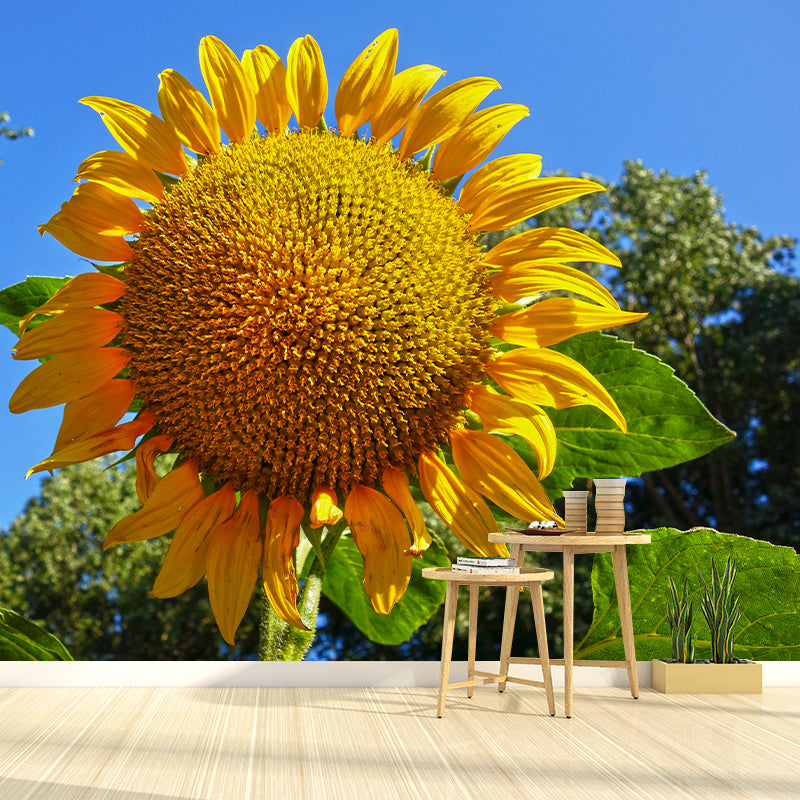 Minimalism Style Yellow Sunflower Wall Mural for Sitting Room, Water Resistant