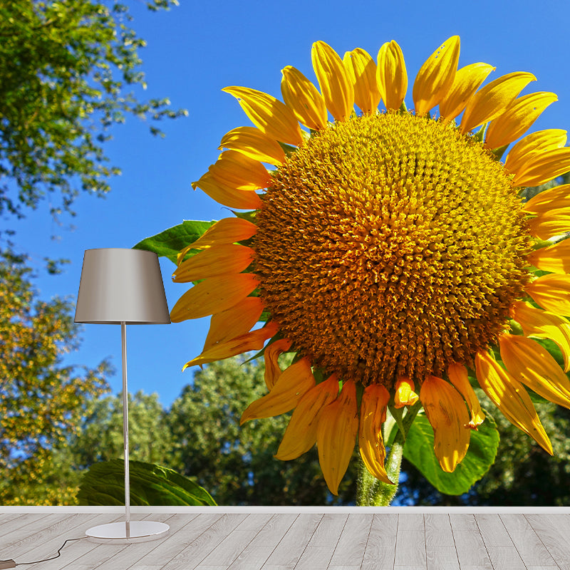 Minimalism Style Yellow Sunflower Wall Mural for Sitting Room, Water Resistant