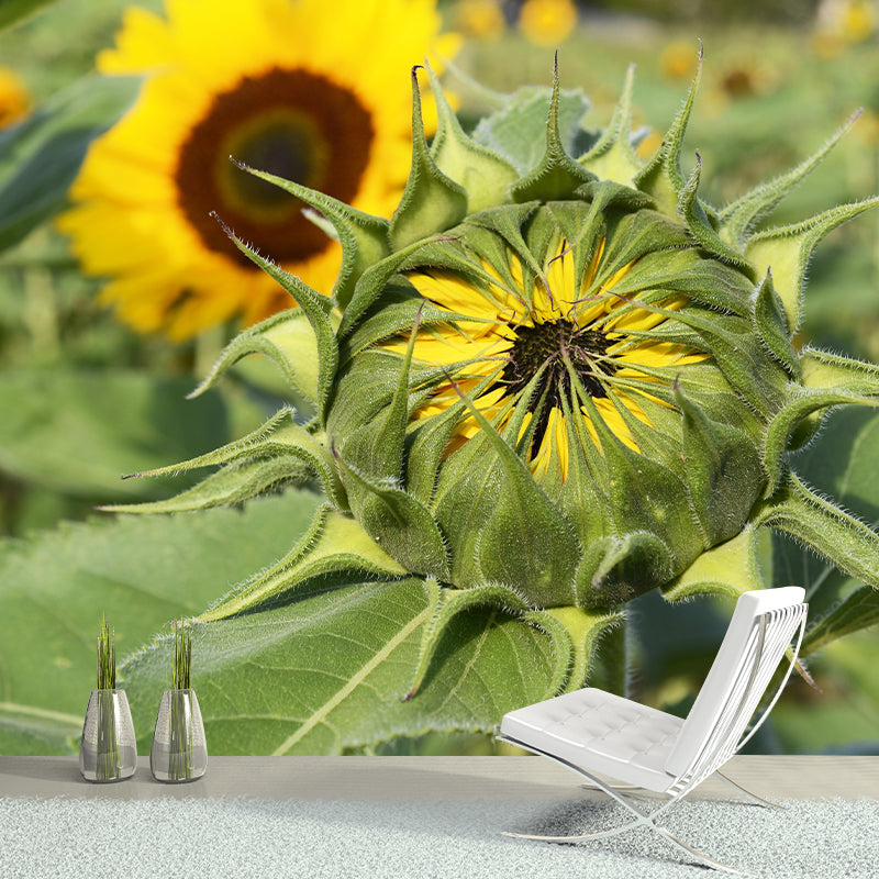 Minimalism Style Yellow Sunflower Wall Mural for Sitting Room, Water Resistant