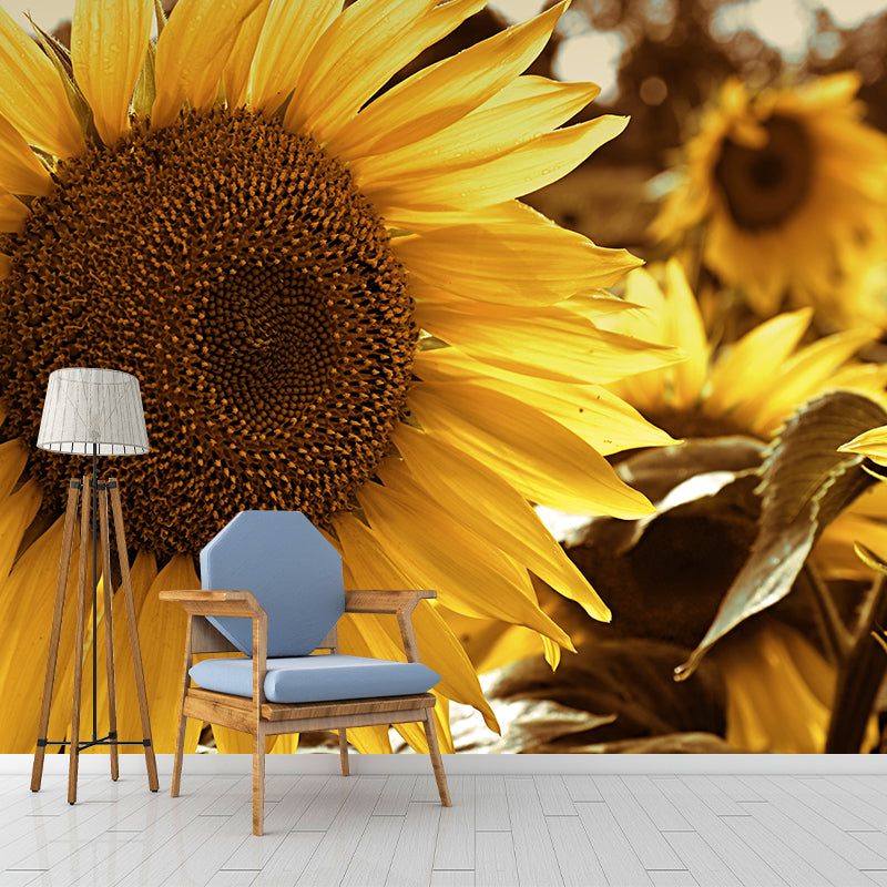 Yellow Sunflower Wall Mural Decals Home Decoration Girls' Bedroom Wall Decor