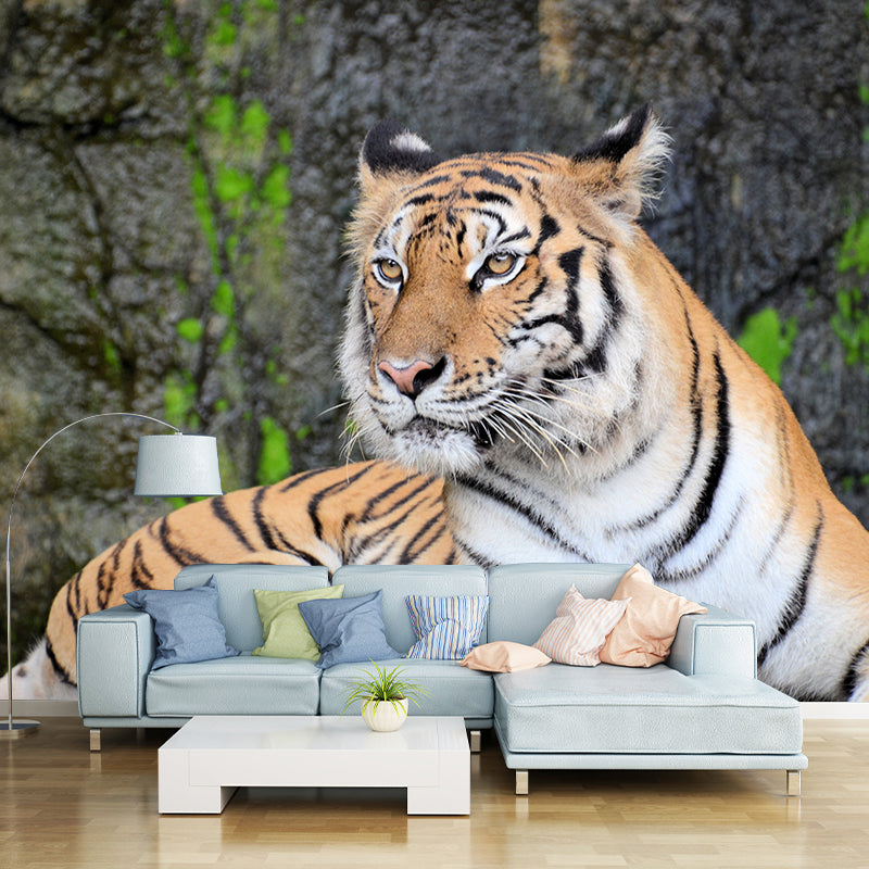 Tiger Animal Mural Wallpaper for Sitting Room Water Resistant, Made to Measure