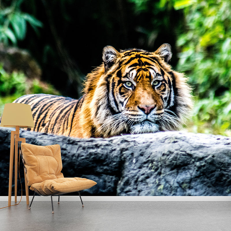 Tiger Animal Mural Wallpaper for Sitting Room Water Resistant, Made to Measure