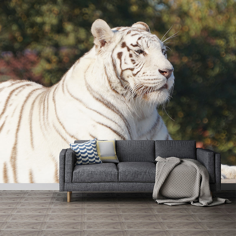 Tiger Animal Mural Wallpaper for Sitting Room Water Resistant, Made to Measure