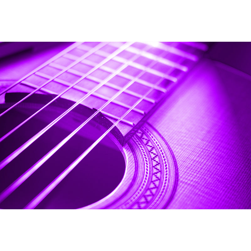 Guitar Photo Wall Murals for Home Decoration Stain Resistant, Personalised Size