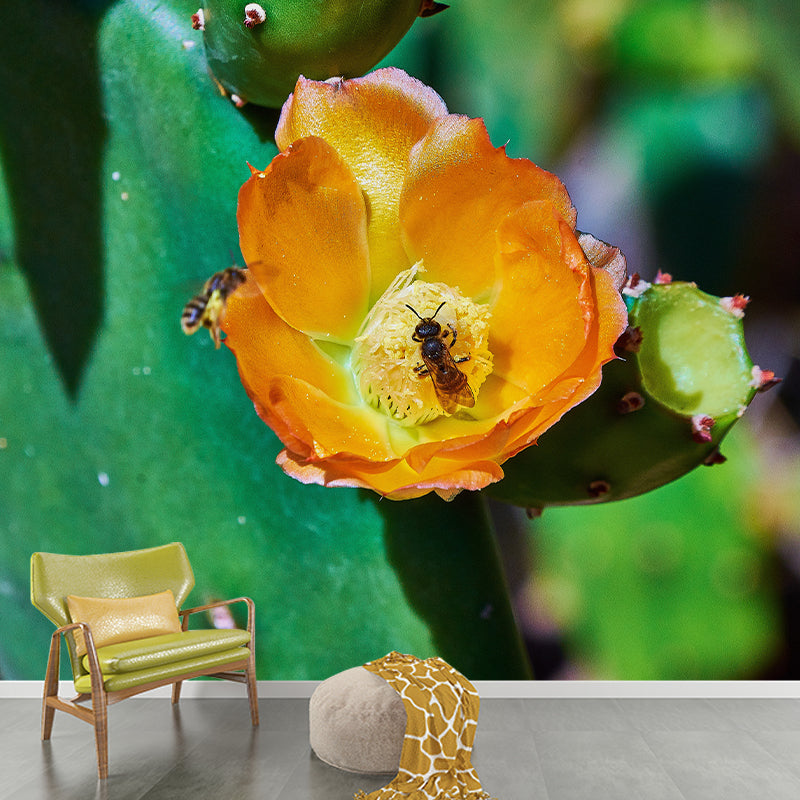 Cactus Plant Wall Mural Contemporary Home Decor for Sitting Room, Water Resistant