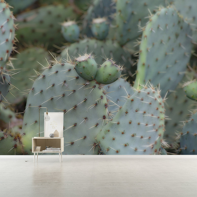 Cactus Plant Wall Mural Contemporary Home Decor for Sitting Room, Water Resistant