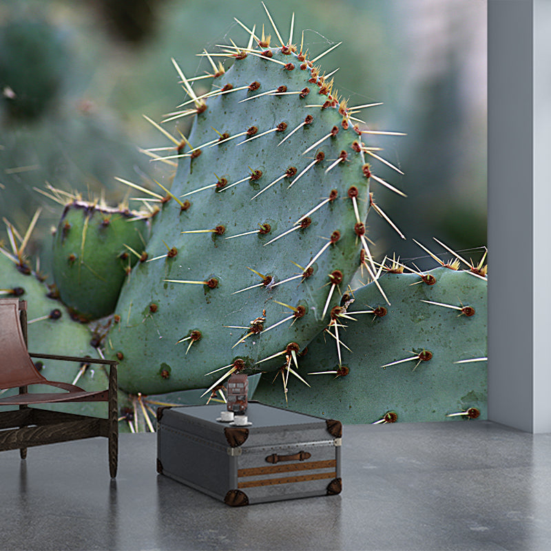 Cactus Plant Wall Mural Contemporary Home Decor for Sitting Room, Water Resistant