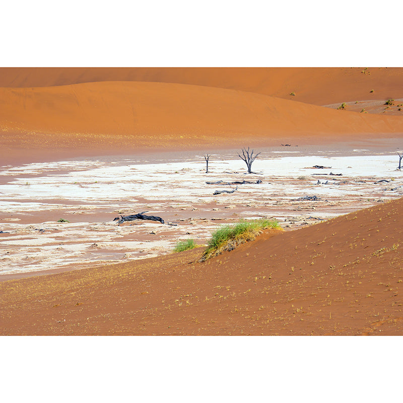 Desert Scenery Contemporary Wallpaper Eco-friendly Wall Decor for Bedroom