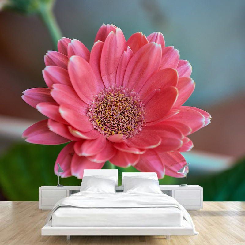 Blooming Flower Mural Modern Eco-friendly Wall Covering for Sitting Room