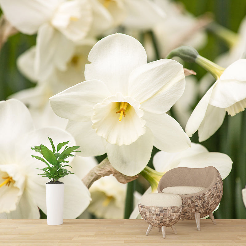 Blooming Daffodils Stain Resistant Wall Covering for Sleeping Room Decoration