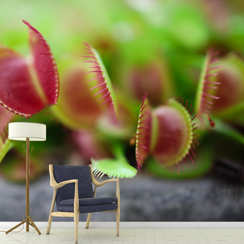 Contemporary Venus Flytrap Mural Environment Friendly Wallpaper for Living Room