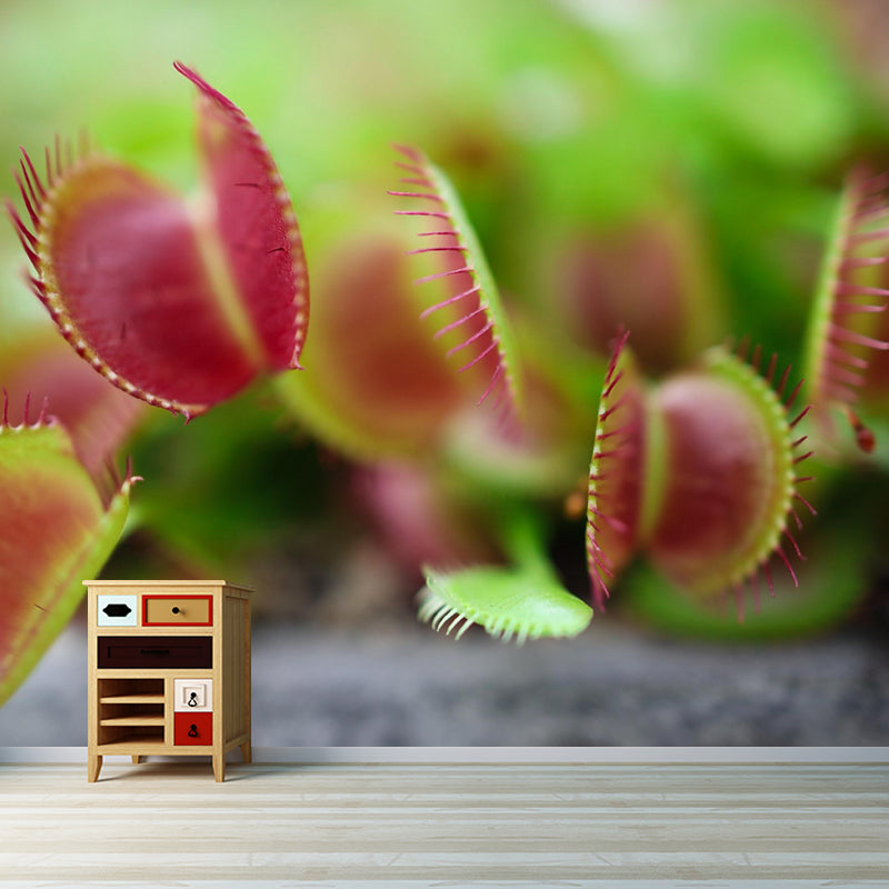 Contemporary Venus Flytrap Mural Environment Friendly Wallpaper for Living Room