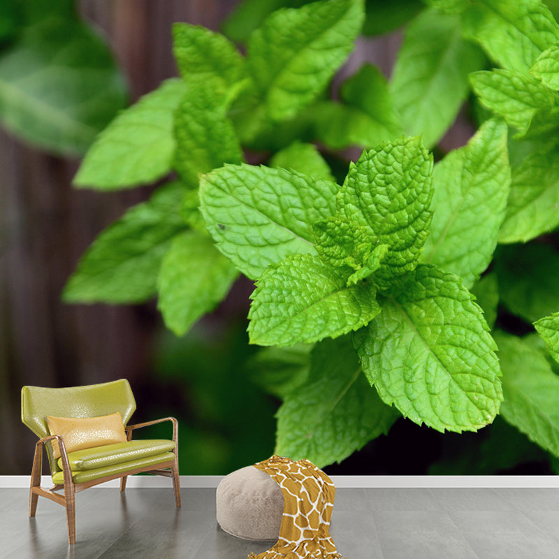 Contemporary Mint Mural Environment Friendly Wallpaper for Living Room