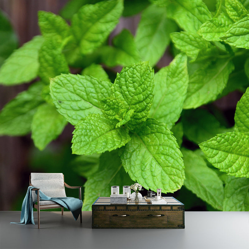 Contemporary Mint Mural Environment Friendly Wallpaper for Living Room