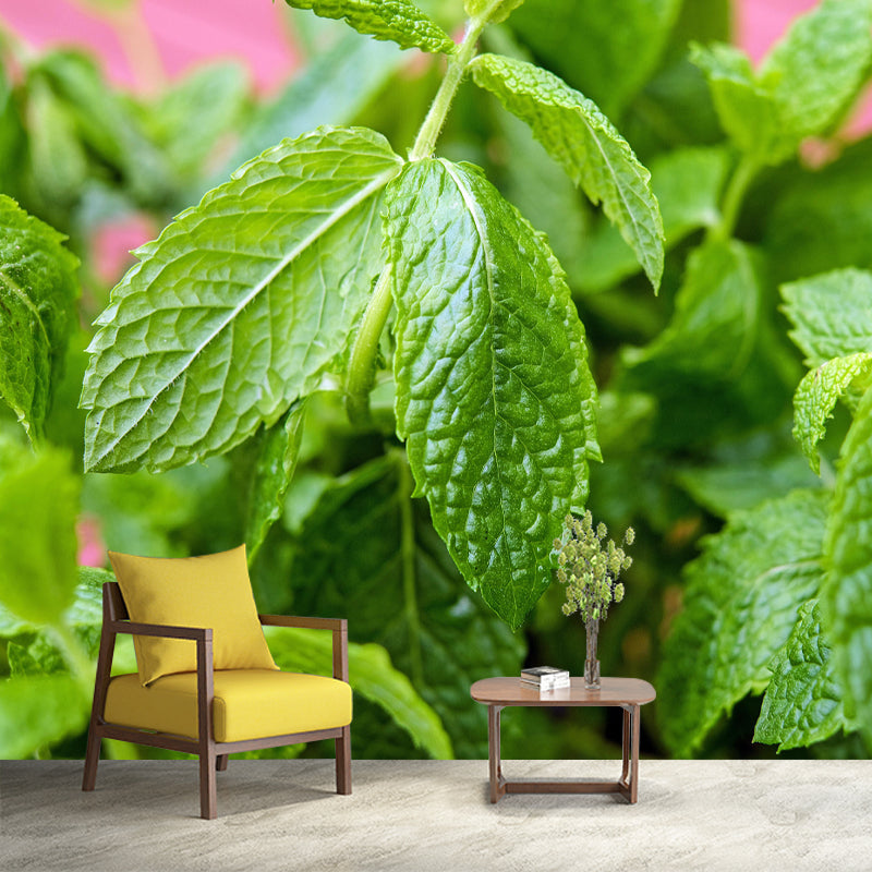 Contemporary Mint Mural Environment Friendly Wallpaper for Living Room