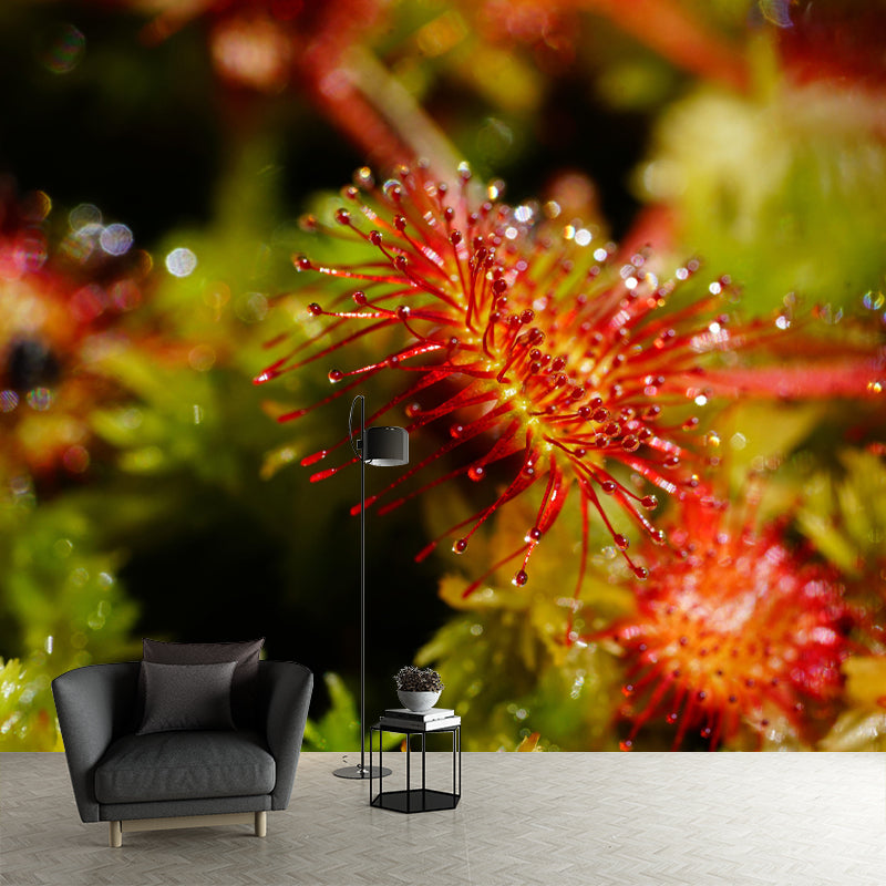 Contemporary Round Leaved Sundew Mural Environment Friendly Wallpaper for Bedroom