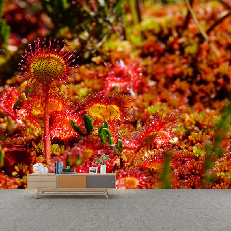 Contemporary Round Leaved Sundew Mural Environment Friendly Wallpaper for Bedroom