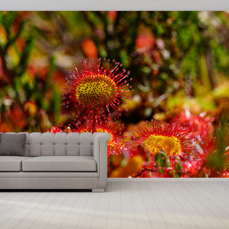 Contemporary Round Leaved Sundew Mural Environment Friendly Wallpaper for Bedroom