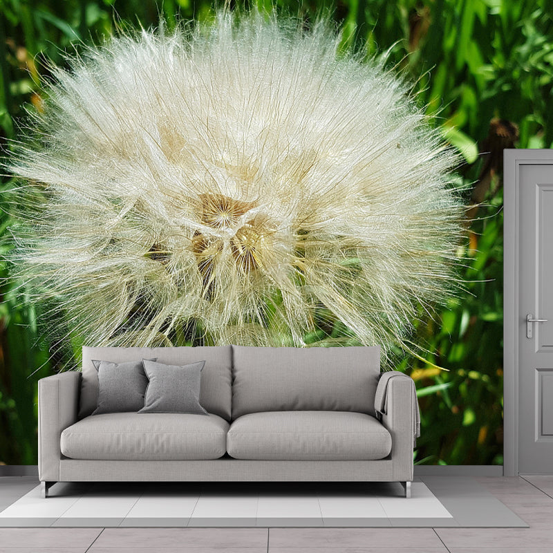 Contemporary Dandelion Mural Environment Friendly Wallpaper for Living Room