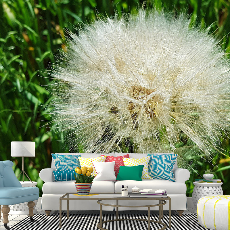 Contemporary Dandelion Mural Environment Friendly Wallpaper for Living Room