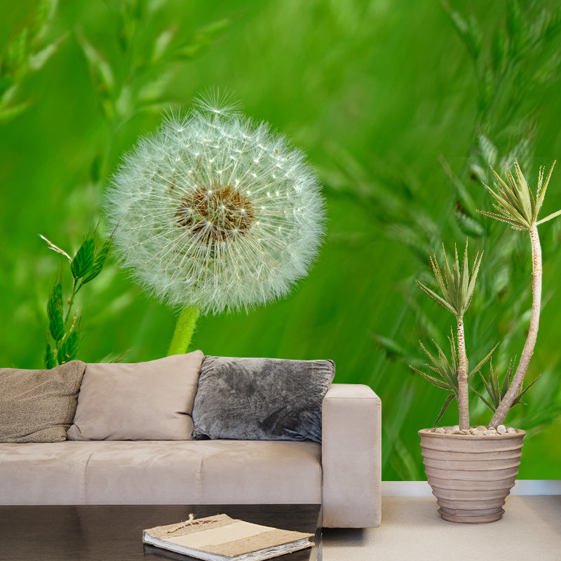 Contemporary Dandelion Mural Environment Friendly Wallpaper for Living Room