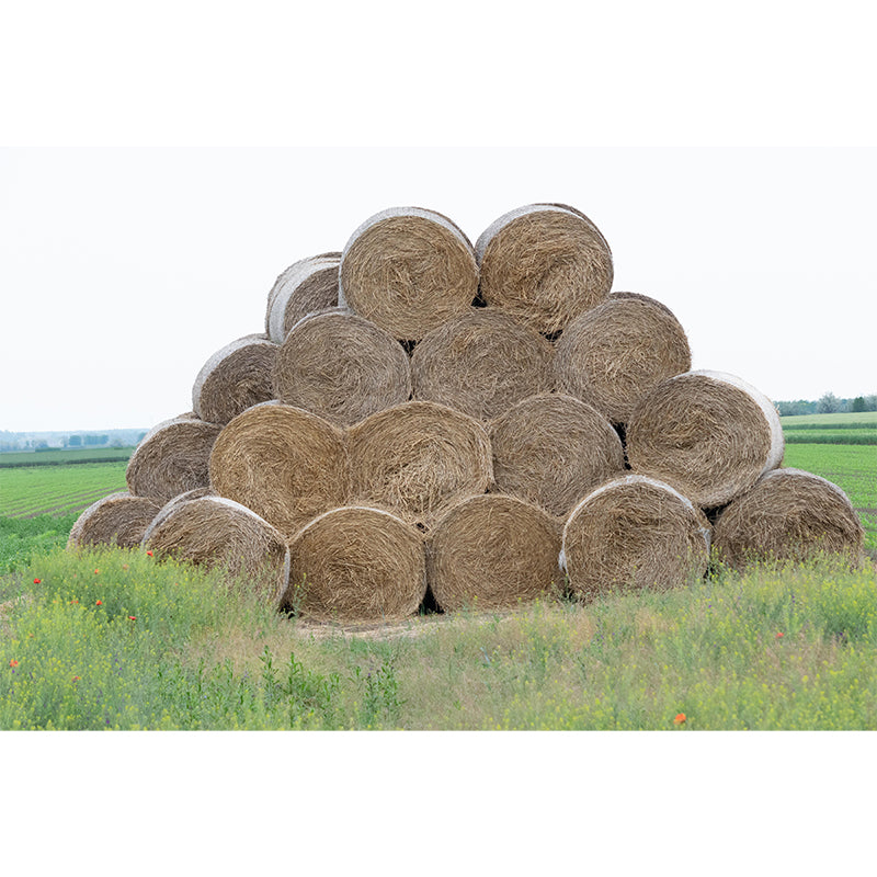 Customized Straw Bale Mural Decal Light Color Wall Covering Mildew Resistant for Living Room