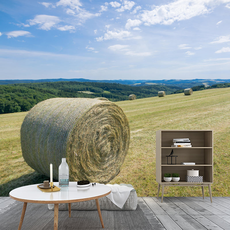 Light Color Straw Bale Mural Decal Wall Covering Mildew Resistant for Dining Room