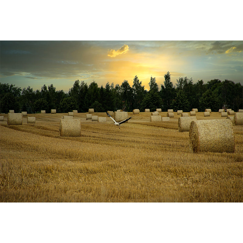 Photography Straw Bale Mural Wall Decor Mildew Resistant for Bedroom