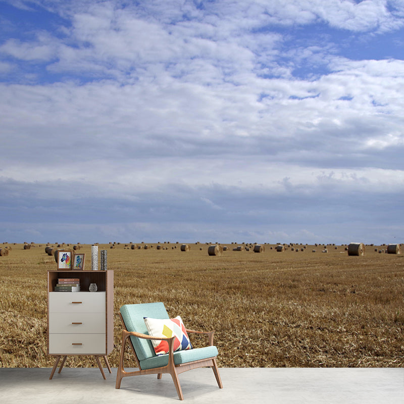 Photography Straw Bale Mural Wall Decor Mildew Resistant for Bedroom