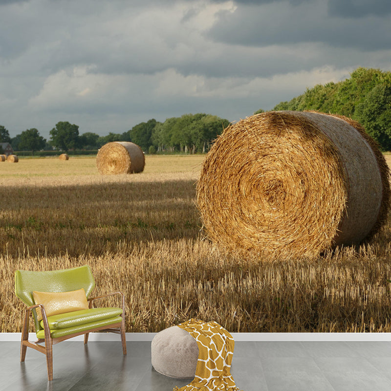 Photography Straw Bale Mural Wall Decor Mildew Resistant for Bedroom